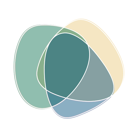 communitysoft Logo